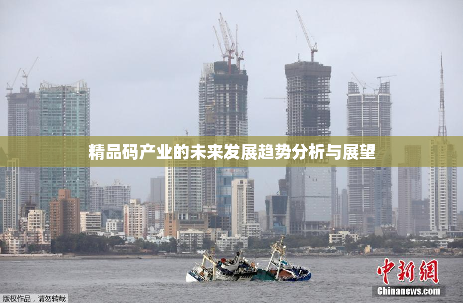 精品码产业的未来发展趋势分析与展望