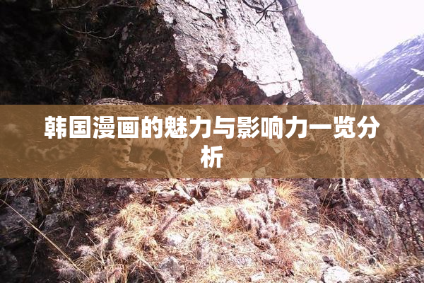 韩国漫画的魅力与影响力一览分析