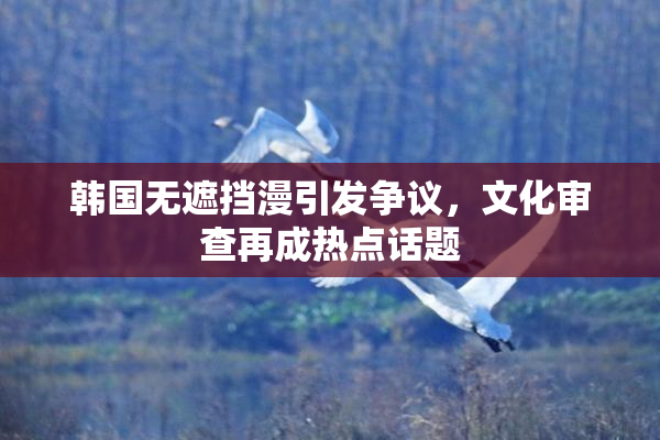 韩国无遮挡漫引发争议，文化审查再成热点话题