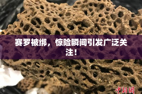 赛罗被绑，惊险瞬间引发广泛关注！
