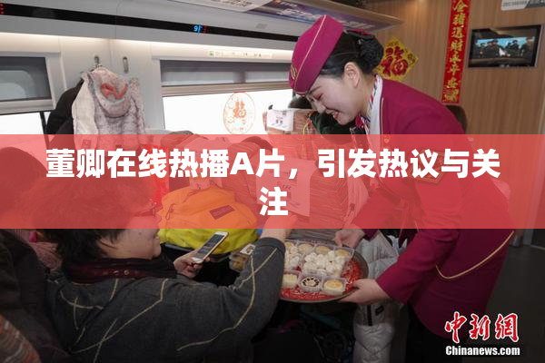董卿在线热播A片，引发热议与关注
