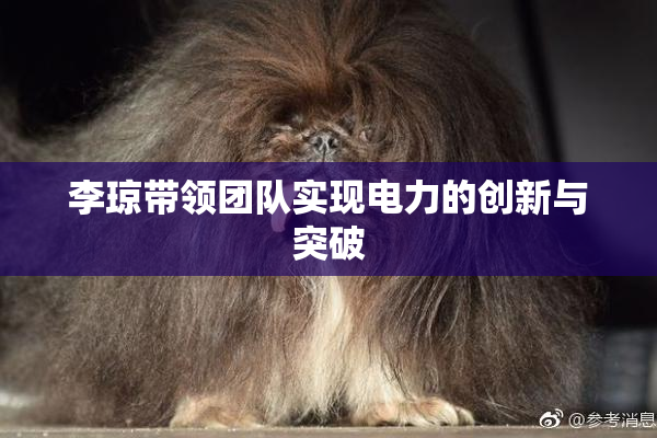 李琼带领团队实现电力的创新与突破
