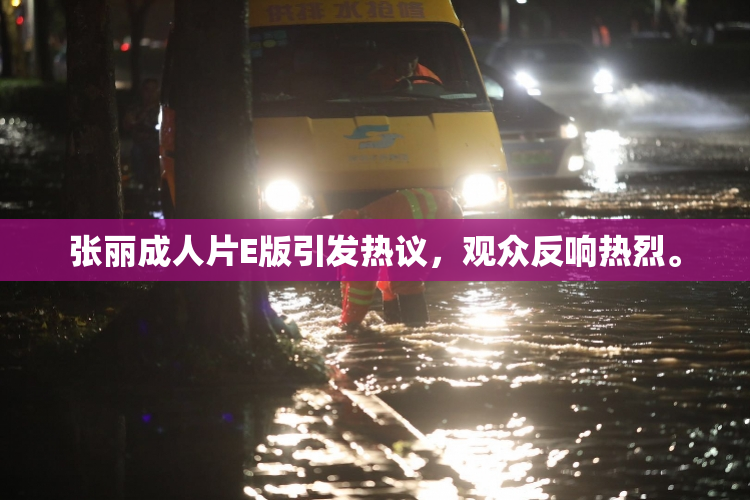张丽成人片E版引发热议，观众反响热烈。