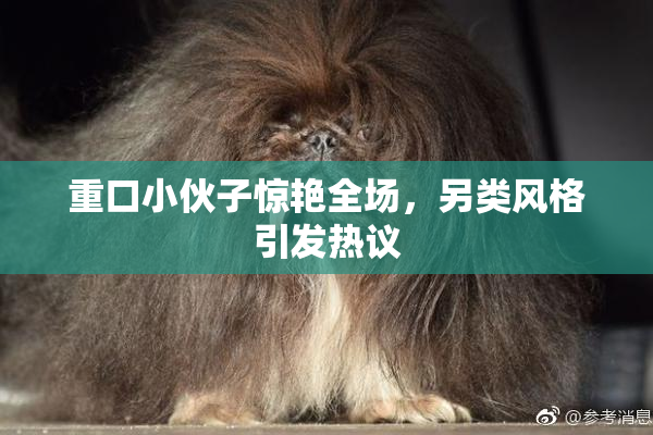 重口小伙子惊艳全场，另类风格引发热议