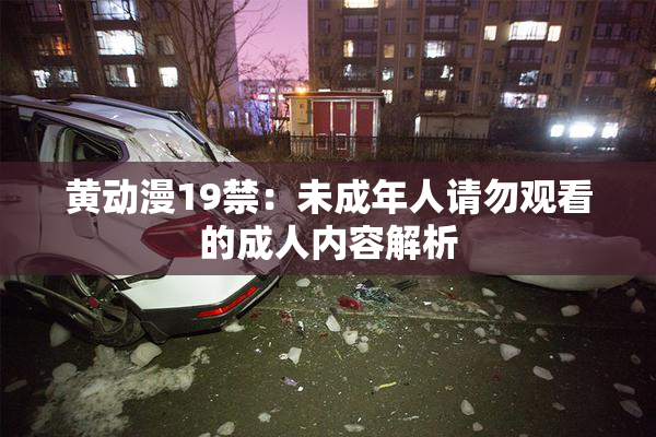 黄动漫19禁：未成年人请勿观看的成人内容解析