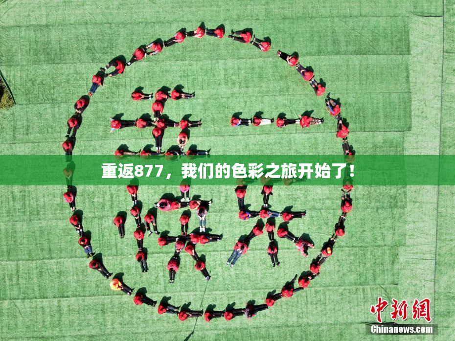 重返877，我们的色彩之旅开始了！
