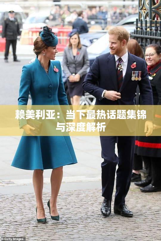 赖美利亚：当下最热话题集锦与深度解析
