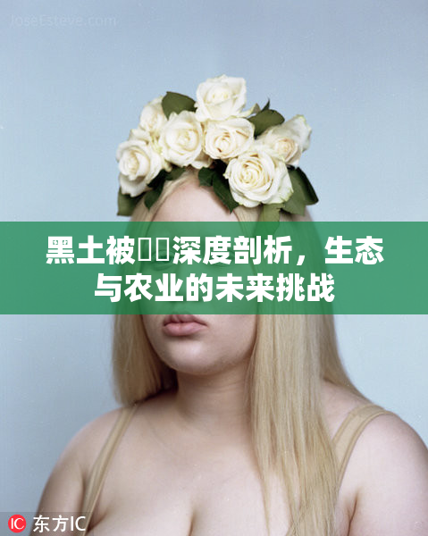 黑土被❌‌深度剖析，生态与农业的未来挑战