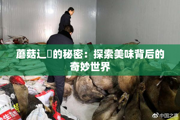 蘑菇辶喿的秘密：探索美味背后的奇妙世界