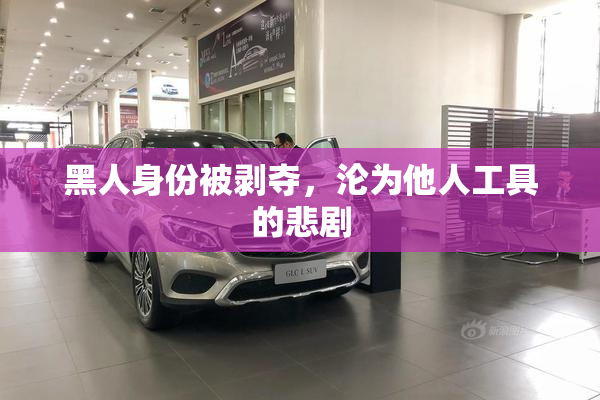黑人身份被剥夺，沦为他人工具的悲剧