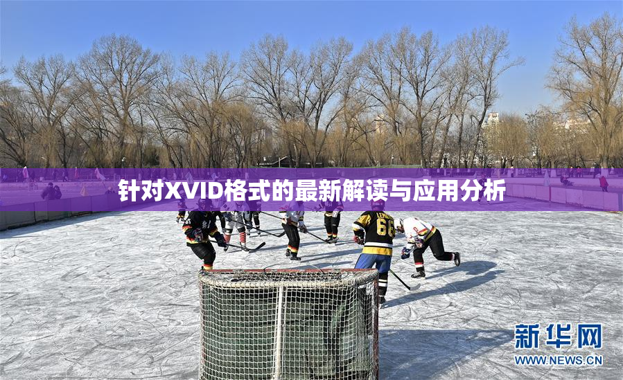 针对XVID格式的最新解读与应用分析