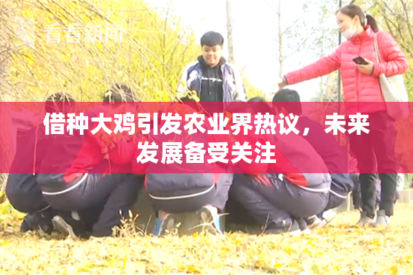 借种大鸡引发农业界热议，未来发展备受关注