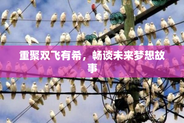 重聚双飞有希，畅谈未来梦想故事