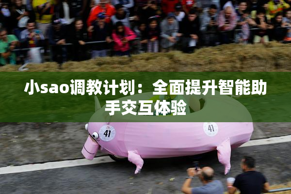小sao调教计划：全面提升智能助手交互体验