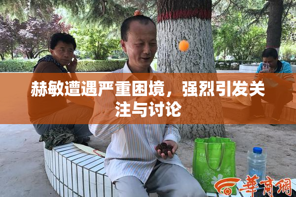 赫敏遭遇严重困境，强烈引发关注与讨论