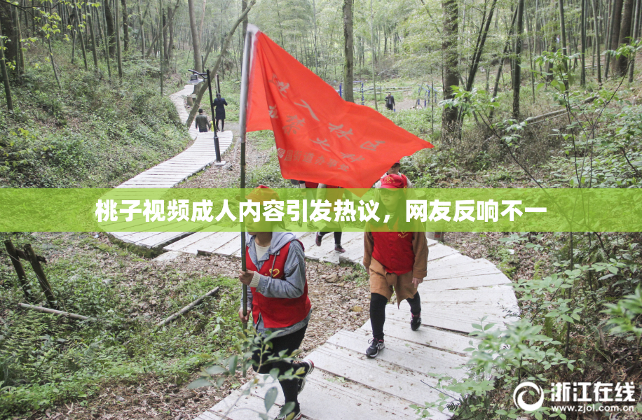 桃子视频成人内容引发热议，网友反响不一