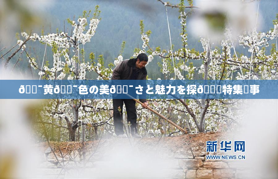 🔯黄🔯色の美🔯さと魅力を探🌃特集記事