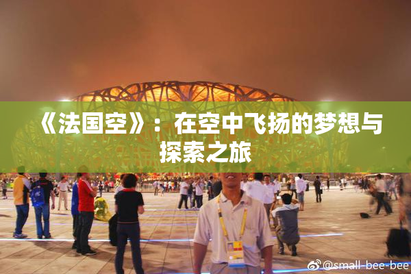 《法国空》：在空中飞扬的梦想与探索之旅