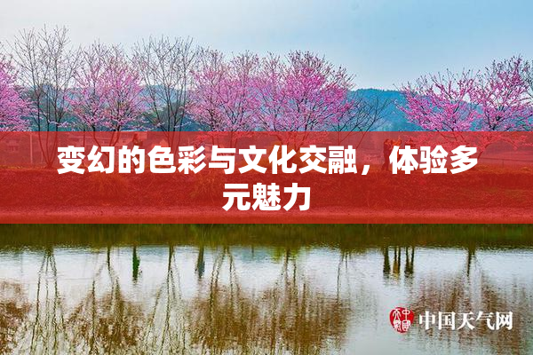 变幻的色彩与文化交融，体验多元魅力