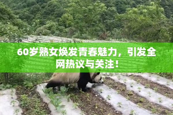60岁熟女焕发青春魅力，引发全网热议与关注！