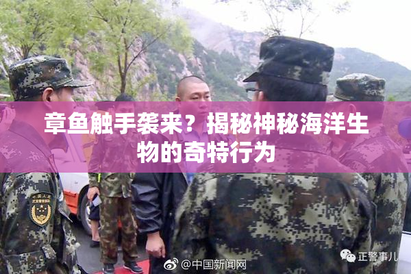 章鱼触手袭来？揭秘神秘海洋生物的奇特行为