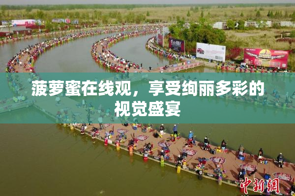 菠萝蜜在线观，享受绚丽多彩的视觉盛宴