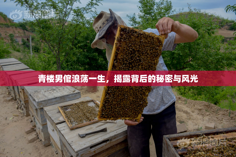 青楼男倌浪荡一生，揭露背后的秘密与风光