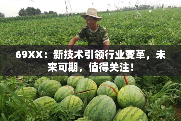69ΧΧ：新技术引领行业变革，未来可期，值得关注！