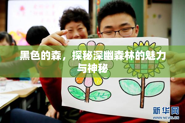 黑色的森，探秘深幽森林的魅力与神秘
