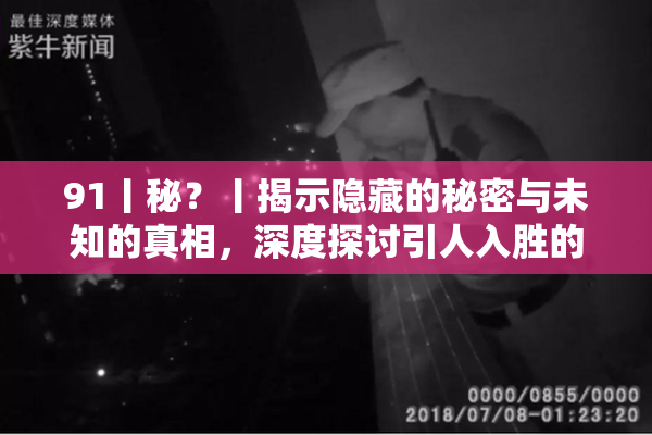 91丨秘？丨揭示隐藏的秘密与未知的真相，深度探讨引人入胜的故事