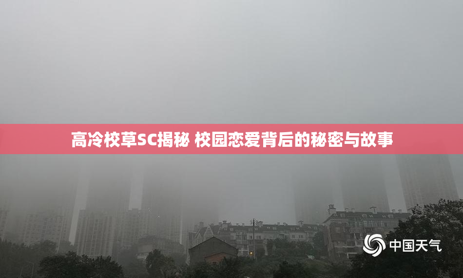 高冷校草SC揭秘 校园恋爱背后的秘密与故事