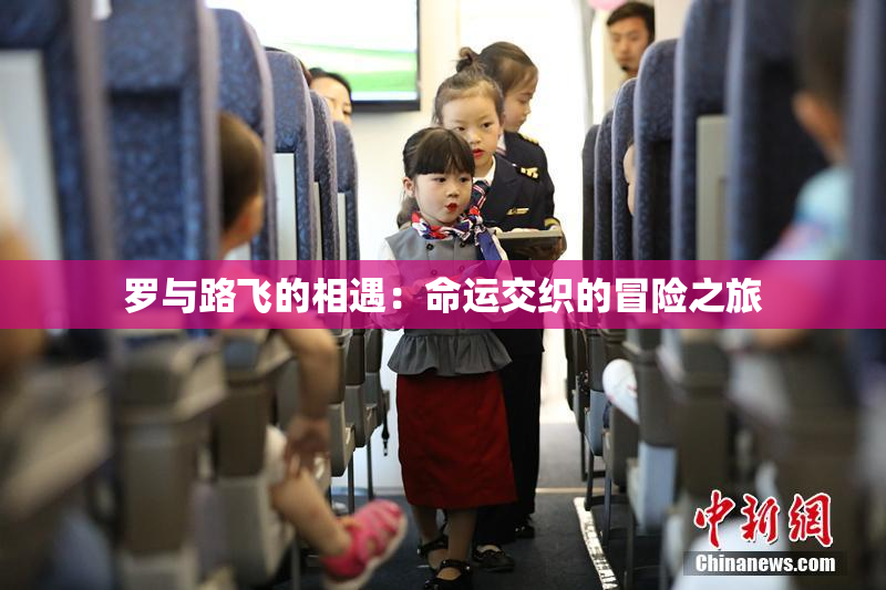 罗与路飞的相遇：命运交织的冒险之旅