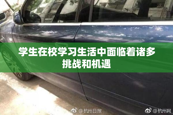 学生在校学习生活中面临着诸多挑战和机遇