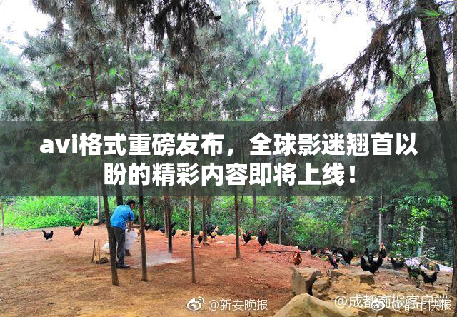 avi格式重磅发布，全球影迷翘首以盼的精彩内容即将上线！