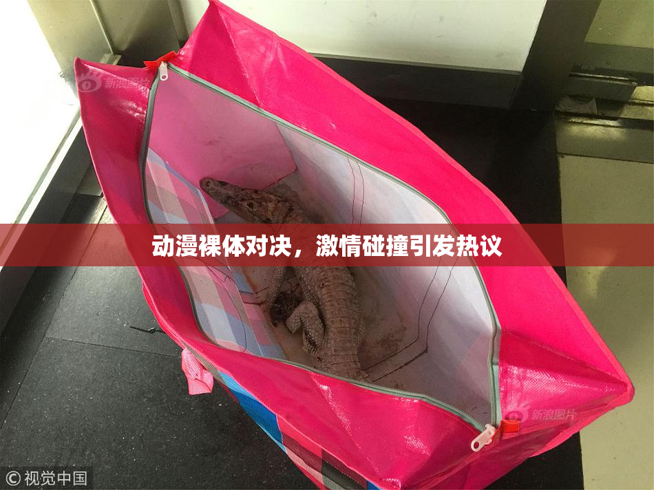 动漫裸体对决，激情碰撞引发热议