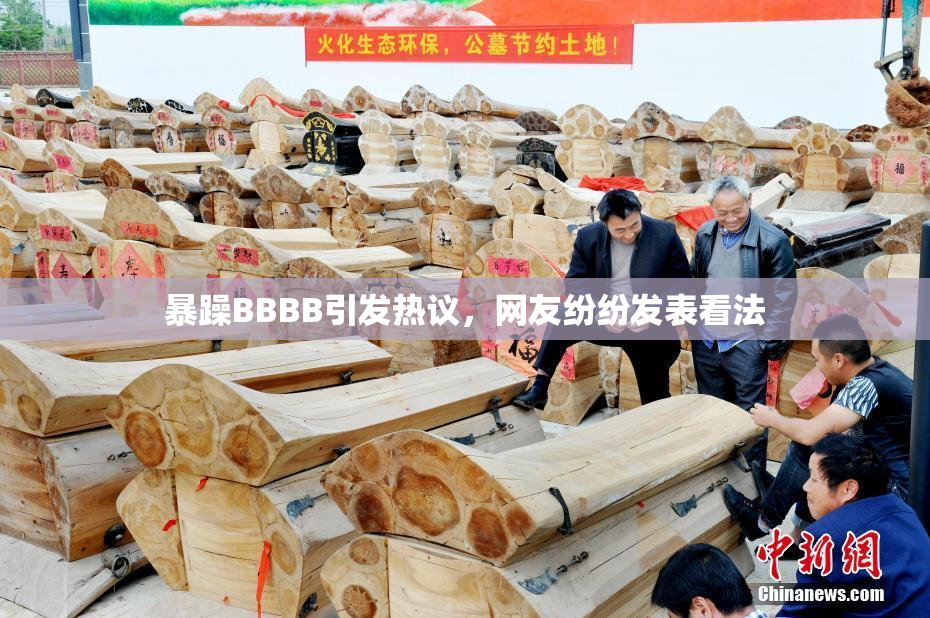 暴躁BBBB引发热议，网友纷纷发表看法