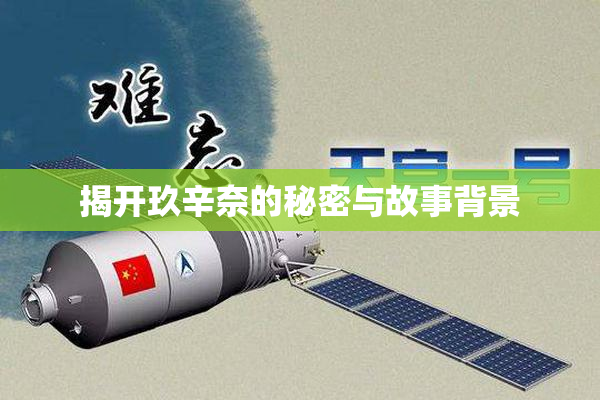 揭开玖辛奈的秘密与故事背景