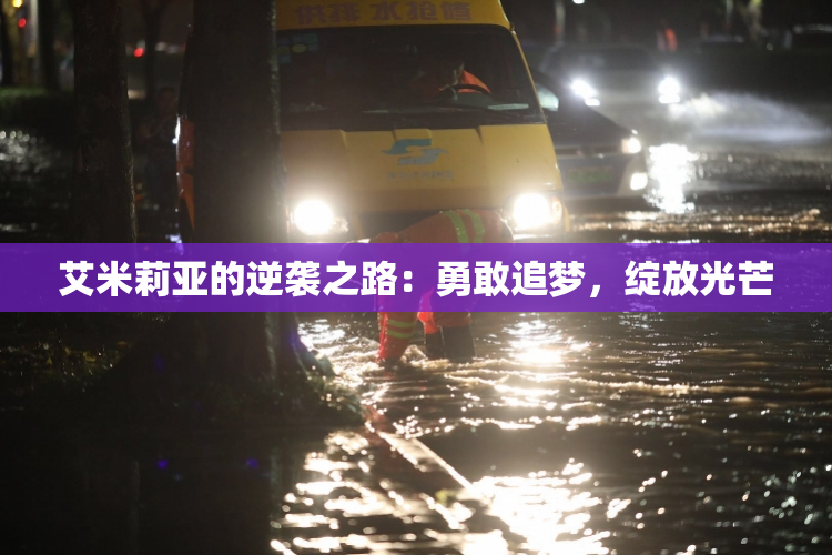 艾米莉亚的逆袭之路：勇敢追梦，绽放光芒