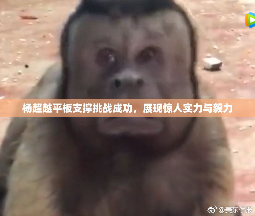 杨超越平板支撑挑战成功，展现惊人实力与毅力