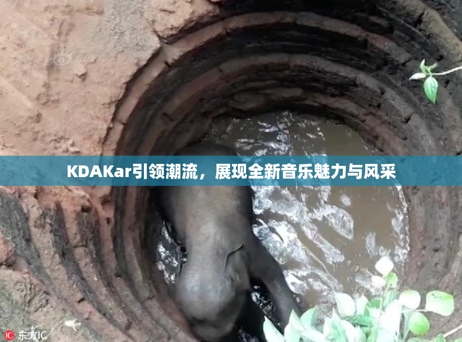 KDAKar引领潮流，展现全新音乐魅力与风采