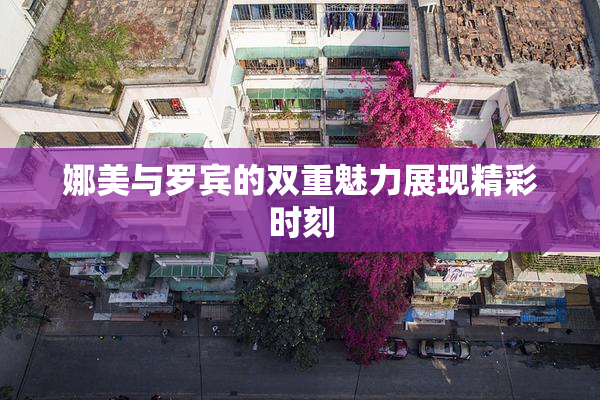 娜美与罗宾的双重魅力展现精彩时刻