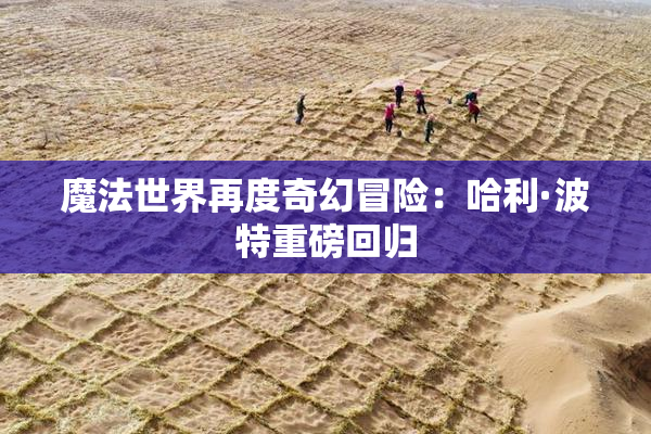 魔法世界再度奇幻冒险：哈利·波特重磅回归