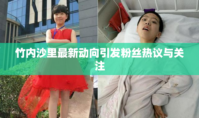 竹内沙里最新动向引发粉丝热议与关注