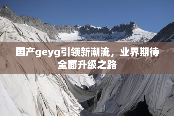 国产geyg引领新潮流，业界期待全面升级之路