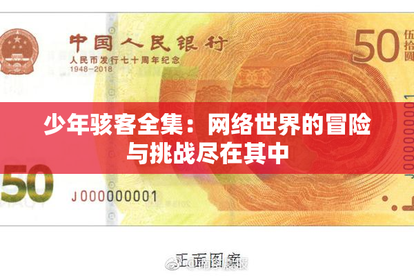 少年骇客全集：网络世界的冒险与挑战尽在其中