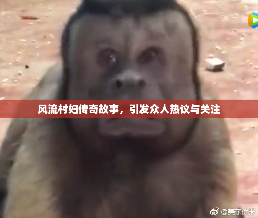 风流村妇传奇故事，引发众人热议与关注