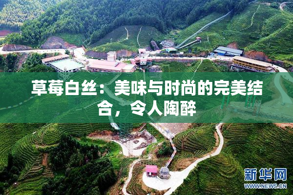 草莓白丝：美味与时尚的完美结合，令人陶醉