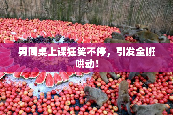 男同桌上课狂笑不停，引发全班哄动！
