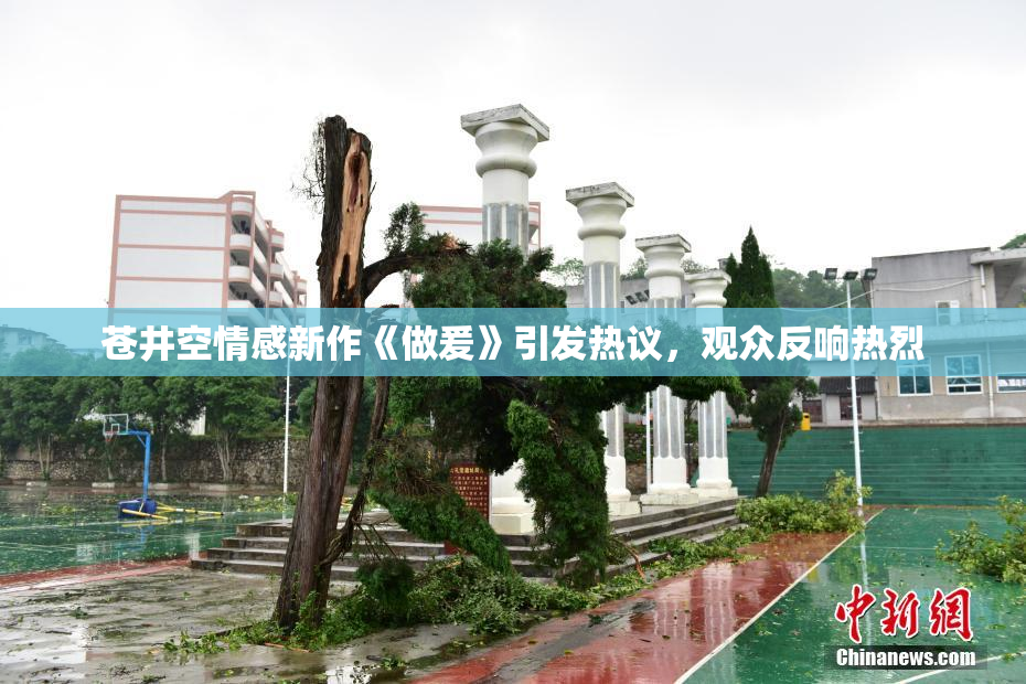 苍井空情感新作《做爰》引发热议，观众反响热烈
