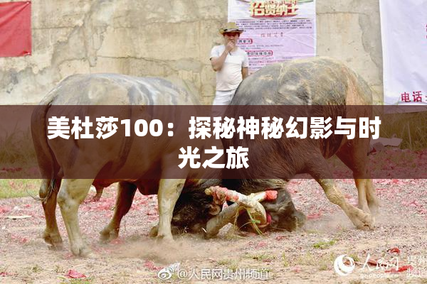 美杜莎100：探秘神秘幻影与时光之旅